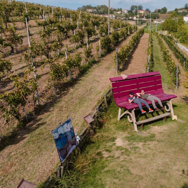 Winery Tour