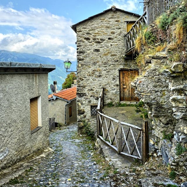 Ancestry tour
