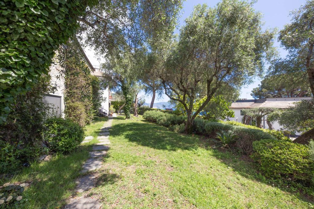 image of the View of the garden in the Italian villa