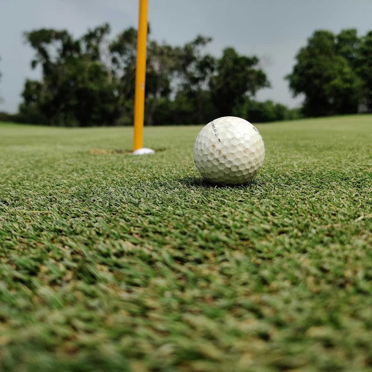 Golf Camp