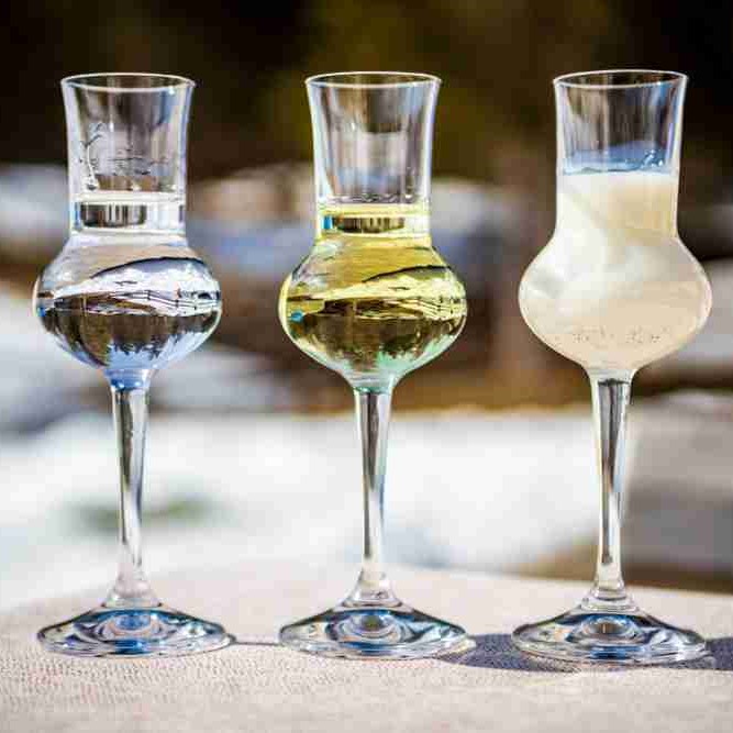 Grappa tasting