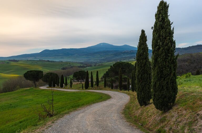Image of path along the Italian countryside