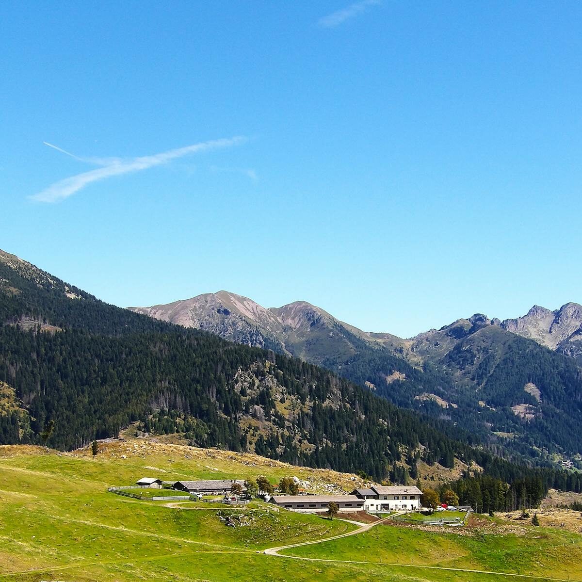 Scenic Mountain View